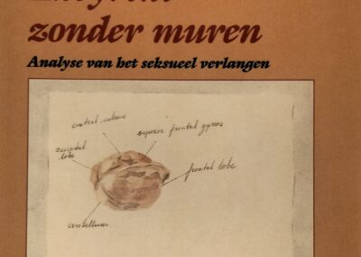 Book cover: Publicatiereeks Homostudies Utrecht: Lex van Naerssen. Labyrint zonder muren. Analyse van het seksueel verlangen. 1989